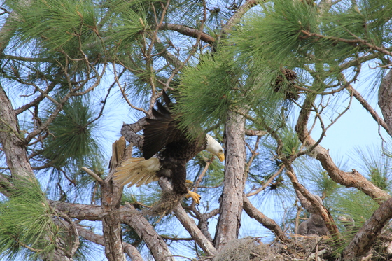 3 lakes bureau of land management