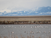 Benton Lake Federal Wildlife Refuge