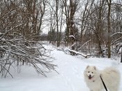 Ice Age National Scenic Trail