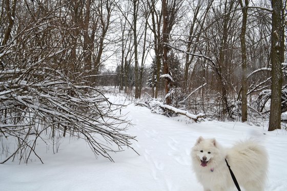 Ice Age National Scenic Trail