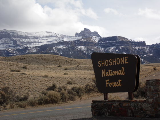 SHOSHONE NATIONAL FOREST