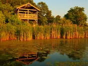 Viewing Tower at Sunset