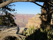 Grand Canyon National Park 