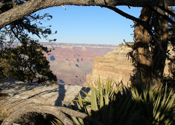 Grand Canyon National Park 