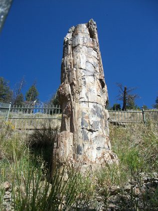 yellowstone national parl
