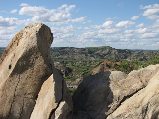 Theodore Roosevelt National Park