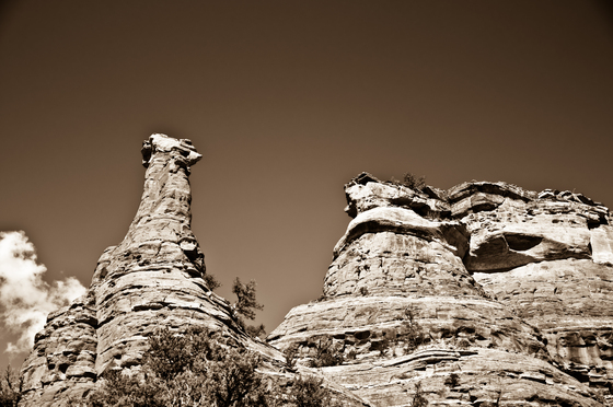Coconino National Forest 