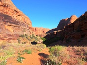 Arches
