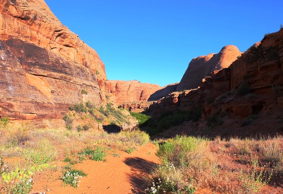 Arches