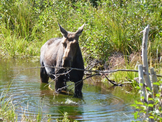 Grand Teton National Park