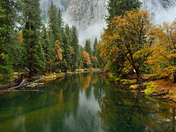 yosemite national park