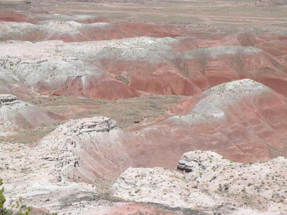 Petrified Forest National Park