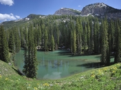 Grand Tetons National Park