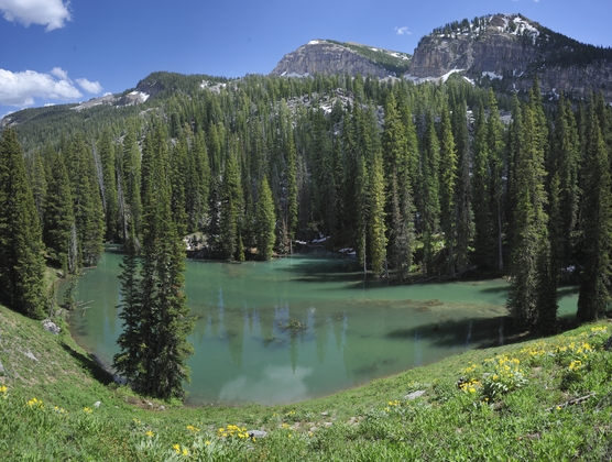 Grand Tetons National Park