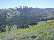 Yellowstone  National Park