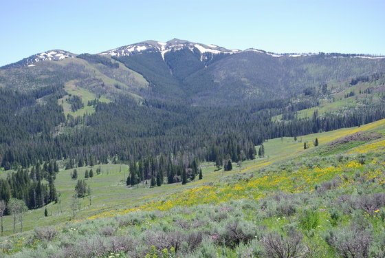 Yellowstone  National Park