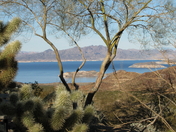 Lake Mead National Recreation Area