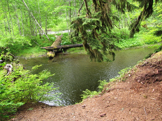 Olympic National Park