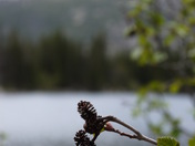 Rocky Mountain National Park