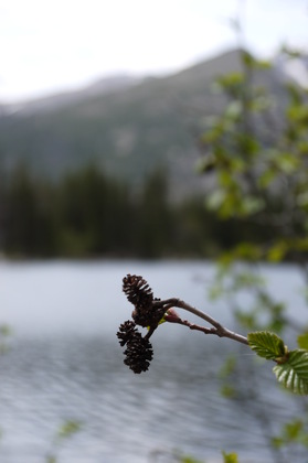 Rocky Mountain National Park
