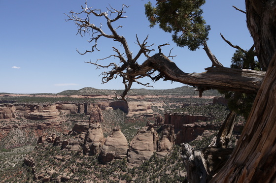 Colorado National Monument