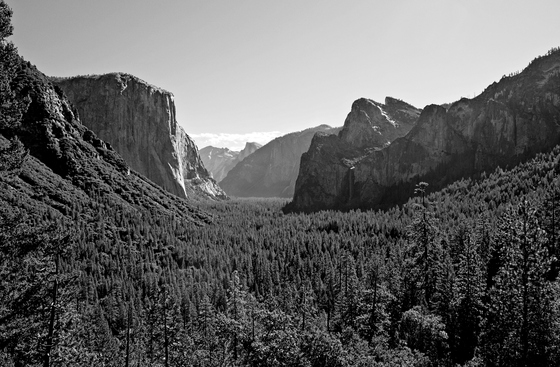 Yosemite National Park