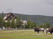 Yellowstone NP