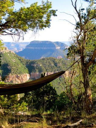 Kaibab National Forest