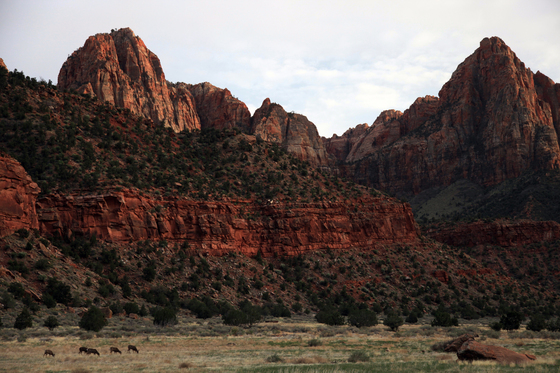 Zion National Park