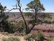 Grand Canyon National Park