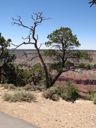 Grand Canyon National Park