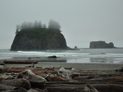 Olympic National Park