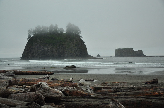 Olympic National Park
