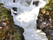 Rogue River - Siskiyou National Forest