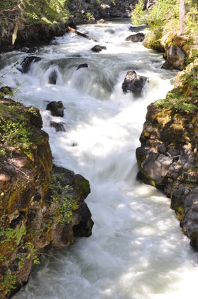 Rogue River - Siskiyou National Forest