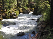 Rogue River - Siskiyou National Forest