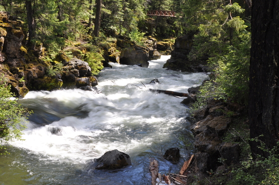Rogue River - Siskiyou National Forest