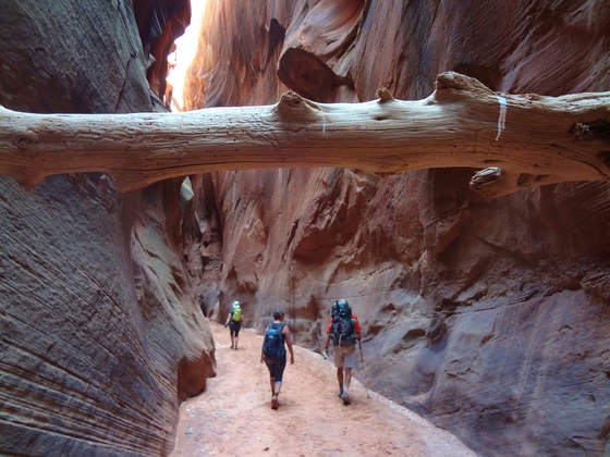 Vermillion Cliffs National Monument