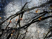 Yosemite