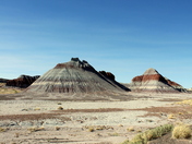 Petrified Forest National Park