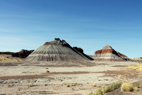 Petrified Forest National Park