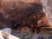 Petrified Forest National Park