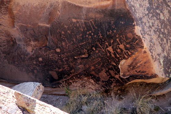 Petrified Forest National Park