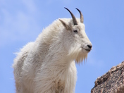Mt Evans