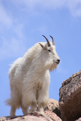 Mt Evans