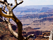 The Grand Canyon