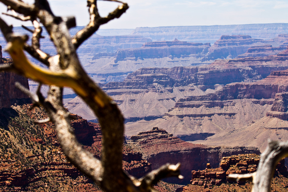The Grand Canyon
