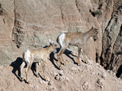 Badlands National Park
