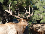 Rocky Mountain NP