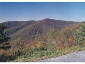 Skyline Drive 